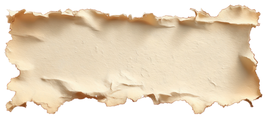 Crumpled, aged paper with burnt edges; textured and aged look