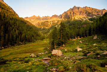 2024 08 16 Pieve Tesino landscape 28.jpg