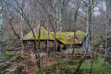 Waterfalls and Cascades of the Nera River (Cheile Nerei Beusnita) National Park, Romania. Hiking the gorge and exploring emerald pools. Romanian beauty and nature.