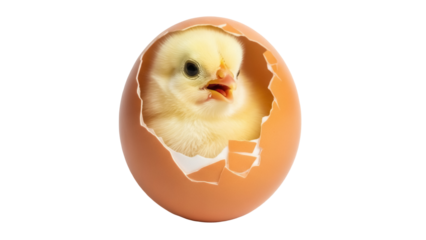 Cute yellow chick hatching from egg PNG isolated on transparent background, newborn animal for Easter and spring concepts