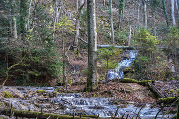 Waterfalls and Cascades of the Nera River (Cheile Nerei Beusnita) National Park, Romania. Hiking the gorge and exploring emerald pools. Romanian beauty and nature.