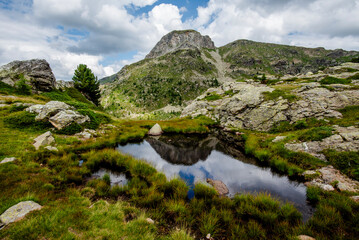 2024 08 16 Pieve Tesino landscape 34.jpg