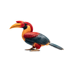 Obraz premium Toucan bird isolated on white background colorful exotic rainforest animal