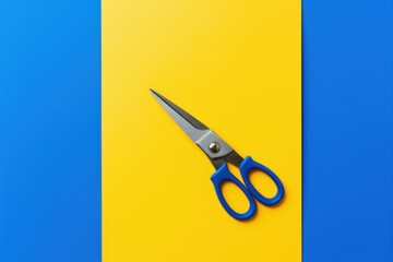 Scissors separating solid yellow and blue paper creating a color block design