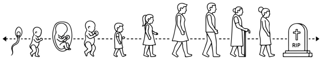 Human Life Cycle From Conception To Death Stages Illustrated With A Timeline Including Sperm, Fetus, Baby, Child, Adult, Elder, And Gravestone