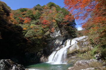 アメガエリの滝を彩る紅葉　（高知県　土佐町　瀬戸川渓谷）