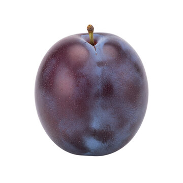 Single Fresh Ripe Purple Plum With Stem