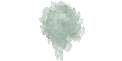 Abstract dark green organic texture graphic design element on black background subtle mysterious ethereal modern digital