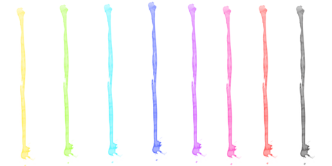 Dynamic vibrant liquid pillars a colorful spectrum of flowing abstract lines rainbow hues modern fluid art against a