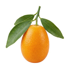 Fresh Orange Kumquat Fruit With Leaves Isolated On Transparent Background