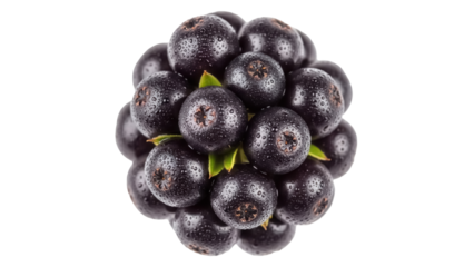 Pile of fresh aronia berries isolated PNG, antioxidant-rich superfood with a slightly tart and astringent flavor for healthy eating and wellness