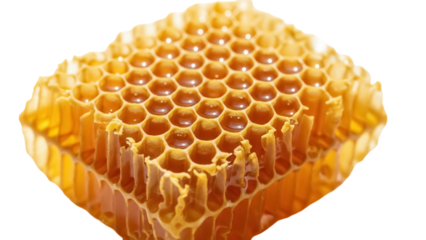 Golden honeycomb with honey isolated PNG, natural beeswax structure on transparent background, sweet and healthy food for beekeeping and nutrition