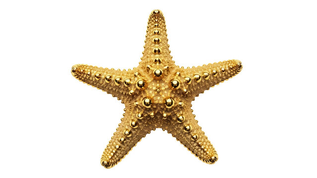 Golden starfish isolated PNG on transparent background, shiny sea star with textured surface for marine life and summer designs