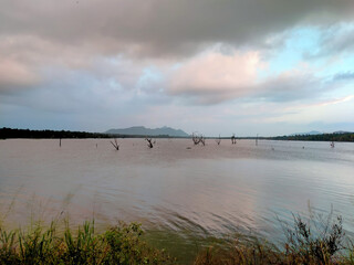 A vast, calm lake stretches towards a hazy mountain range, with skeletal trees emerging from the water under a dramatic, overcast sky. Aian Lk countryside view