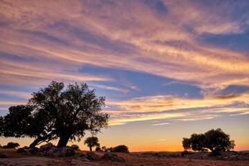 Sunset over the rural landscape of Extremadura with trees and colorful sky