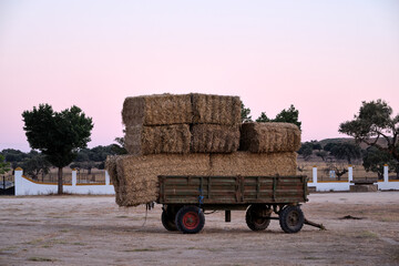Hay bales on a cart at sunset in Extremadura, showcasing agricultural activity and rural lifestyle