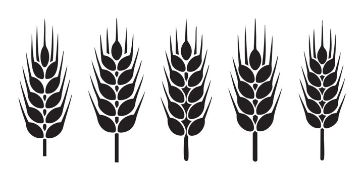 Five black graphic wheat ears arranged horizontally in a row, showcasing a simple, elegant design representing agriculture, harvest, and natural food ingredients.