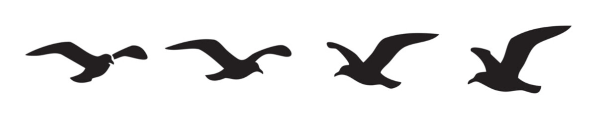 Flying birds silhouettes in a graceful sequence, illustrating the beauty and freedom of avian motion, perfect for nature and wildlife themes.