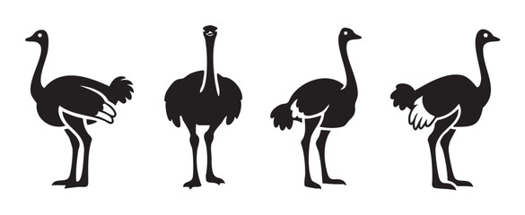 Fototapeta premium Four black ostrich silhouettes are depicted in various poses, showcasing different angles and characteristics of this iconic large flightless bird.