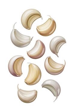 Peeled garlic cloves scattered, essential cooking ingredient food isolated on transparent background