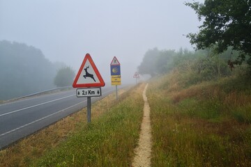 기호, 길거리, warning, 교통, 간선도로, 여행, sky, 도로 표지, 경관, 곡선, 네이처, 신중, 위험, 거리, 목초, yellow, 교통표지, 아스팔트, 속도