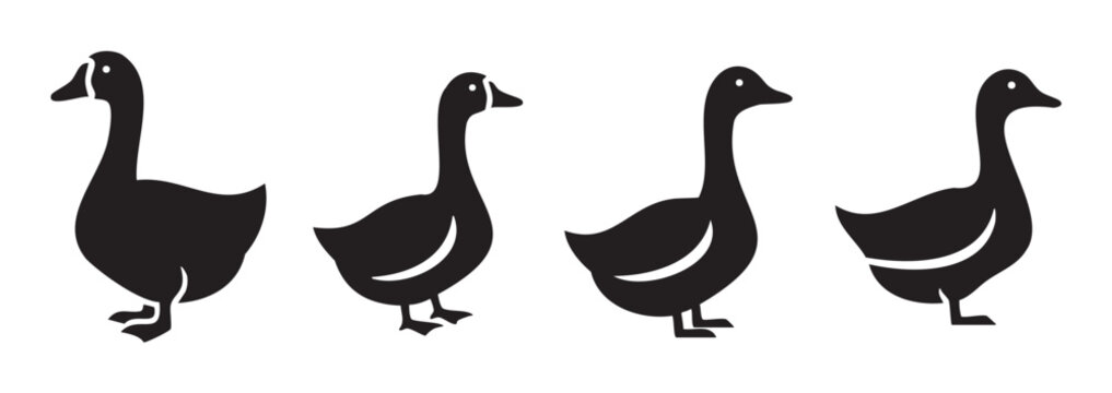 Four black geese silhouettes showcasing various standing and walking poses, rendered as simple, clean vector icons for diverse design elements.