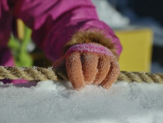 Child's hand gripping sled rope in snowy winter landscape during outdoor playtime in bright sunlight with warm clothing