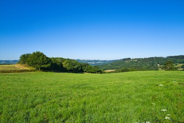 경관, 들판, 목초, sky, green, 네이처, 목초지, 여름, blue, 봄, 구름, 농촌, 나무, 수평선, 농장, 경작, 국가, 고개, 시골, 대지, beautiful