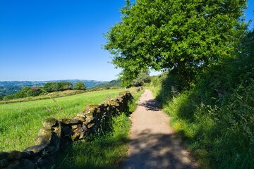 네이처, 경관, 길거리, sky, 나무, 목초, 경로, green, 여름, 들판, 농촌, 고개, 마운튼, 시골, 공원, 구름, 국가, 봄, 목초지, 경치, h2o, 장면, 길