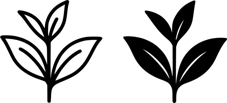 Tea leaf illustration icon, black and white, outline and silhouette versions