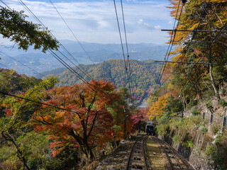 秋の京都 比叡山の紅葉 叡山ケーブルカーの車窓