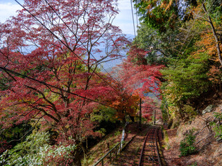秋の京都 比叡山の紅葉 叡山ケーブルカーの車窓