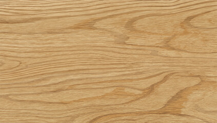 Smooth oak wood texture background with natural grain. Seamless wood texture. Natural wood texture.