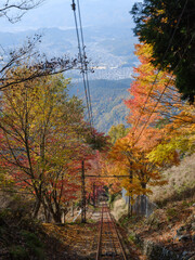 秋の京都 比叡山の紅葉 叡山ケーブルカーの車窓