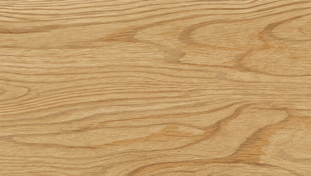 Smooth oak wood texture background with natural grain. Seamless wood texture. Natural wood texture.