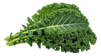 Fresh green kale leaves isolated PNG, nutritious leafy vegetable with curly edges for healthy eating and vegan recipes on transparent background