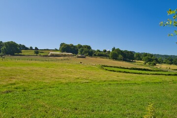 경관, sky, 목초, 들판, 목초지, 네이처, green, 여름, blue, 농촌, 봄, 구름, 나무, 국가, 시골, 수평선, 농장, 경작, 고개, 대지, beautiful, 계절