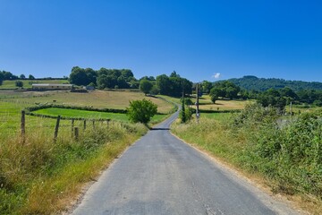 길거리, 경관, sky, 들판, 네이처, 목초, 여름, 농촌, green, 국가, 경로, 시골, 나무, blue, 경작, 농장, 궤도, 목초지, 대지, 구름, 길, 고개, 수평선