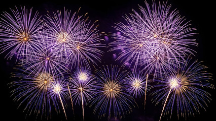 Vibrant fireworks exploding in the night sky
