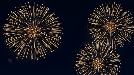 Vibrant fireworks illuminating the night sky
