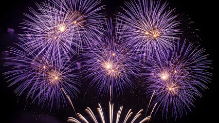 Vibrant purple fireworks illuminating night sky