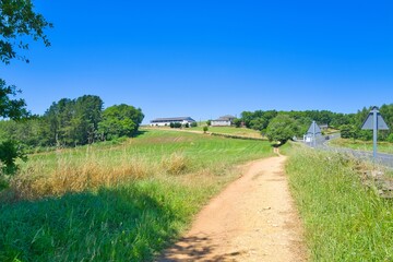 길거리, 경관, sky, 네이처, 경로, 목초, 들판, 여름, 시골, 농촌, green, 국가, 나무, 구름, 길, 목초지, 보도, 봄, 고개, 아웃도어, 산책로, 걷다