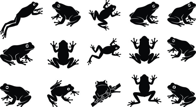 Black frog silhouette collection showing multiple poses jumping sitting climbing isolated on white background vector illustration set for stock design