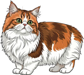 Obraz premium playful spirit, petite form an endearing felines curious gaze illuminates joy, vector isolated on transparent background