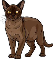 Fototapeta premium rich espresso charm a burmese inspired gaze of warmth and sophistication, vector isolated on transparent background