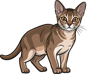 Obraz premium amber gaze this elegant felines keen eyes hold timeless curiosity and refined charm, vector isolated on transparent background