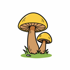 mushrooms in grass