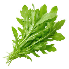 Bunch of fresh green arugula leaves with white veins on black background salad, Isolated On Black Background, Png Transparent Background, Cut Out