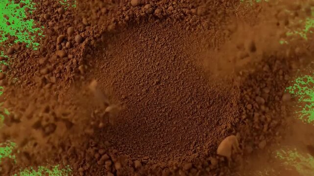 Roasted coffee beans falling on isolated green screen background for easy keying