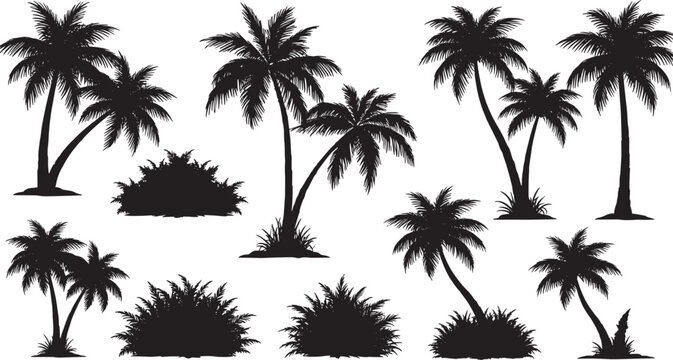 Tropical palm trees silhouettes with summer exotic foliage elements